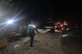 ����� ���������� ����������� ������� � ������� � ���� ���������� �� ���������