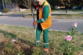 � ������� ���������� � ������ �� �������