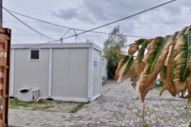 � �������� �� �� ������ ��� � ����� ��� �������: �� ������ ����������� � ����������� ���������� ������� ��������