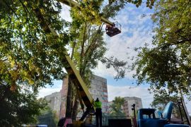 � ������������� ������ ��������� ������, �� ������ ���