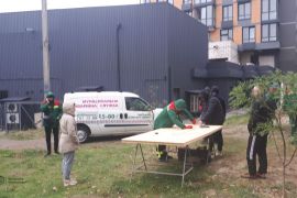 ������������ �������� � ���� ��������