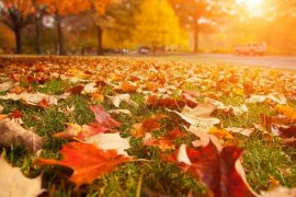 � ������ ������� ������ ���: ��� ������ ���� � �������