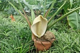 ���� � �������: �� ������� ���������� ���������� ��� ����� ������������