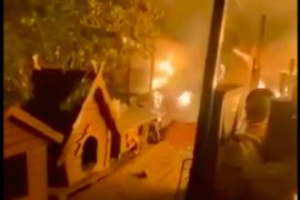 ������ � �������� ��� ������ � �������: ������� �� ����� ������� ��������. ����. ²���