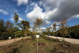 � ������� �������� ���� �������, ���������� �������� �����. ����