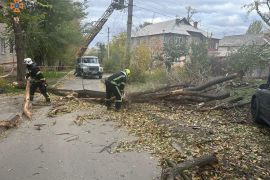 � ������� ����� ���� �������� ������: ����������� �������� ������������. ����