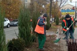 � ������� �������� �� �� ������