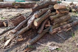 � ��������� ������ �������� ��� ������� �������� ��� ��������� ������