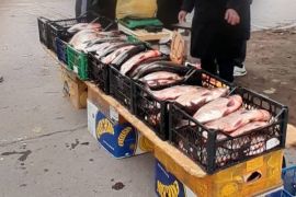 ������������ ����� �������� �������� � ����������� � ���� �����������