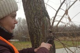 ����� ������ �����