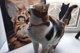 ��������� �������� � ������� ���������: �� ���� � ������������?