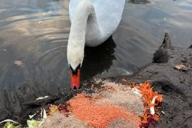 ��������� ���������� ��������� ������ �� ������: �� ����������. ²���