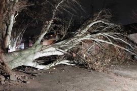 ������������ �������� ������� ������