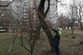 ������������ ����������� ��������� �� ��������