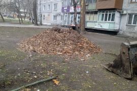 ������������ ������ ��� �������� ���������� ���� ���������������� ������