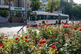 ��� ������ ������������ ������������ ���������� 12 ����