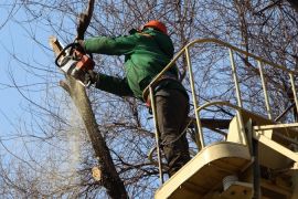 ������ ������������ �������� �����