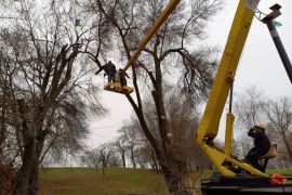 ������ �� �������� ������������� ����