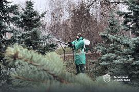 ����� ������������� ������� ������