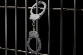 ��� � ������� ������� ������� �� 7 ���� ��������� �� ����� � ����������: �� �����