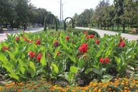 � ��������� ������ �������� ������������� ������