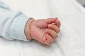 ������ ����� ����: � ������� ���������� �������