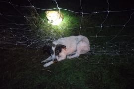 � ������� ��� ���������� � ����������� ����: ������ ���������