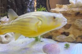 ������ ��� ��� �������: �� ��� �������� � ������� ���� ������ ����� �����. ²���