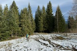 ������������ ���� �� �������: �� ������� ����� � �������� �� ������