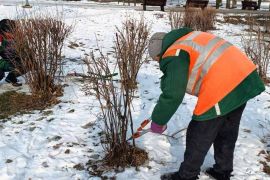 ����� � ������ ���� ������ ����������