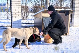 �������� ������ �� ������: �� �������� ��������� ������� ������������� ������. ����