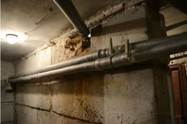 ������������� �������� �������