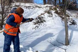 ���������� � ����������� ������