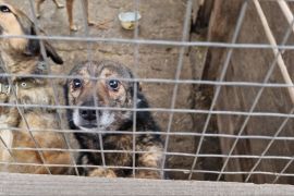 ���������� ���: � ����������� ��������, �� �� ������� �������� ������, ��������, �� ����� ���������