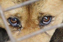 �������� �������� ������ � �������: ��� ����� ����� �������