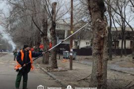 ������� ��������������� �����