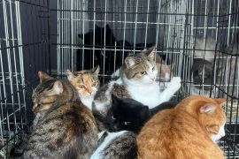 �� ������� ��������� ���������� �������� ��� ��������� ������. ����