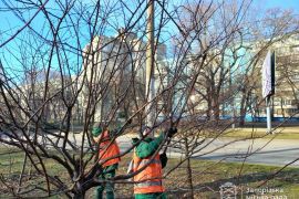 ������������� ����������� ������