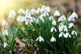 � ������� ��������� ������ � ������� ���������: ���������� ������