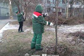 � ����������� ������ ������� ������