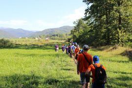 ����������� ������ � 2026 ����: �������� ��� �������� ������ �� �������