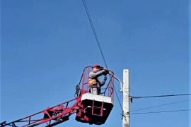 ������� ����� 260 ����