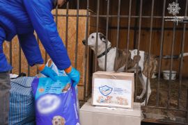 ������ ����: �������� ��� ������ � ������� �������� ��������. ����