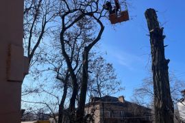 ����� ������ �����