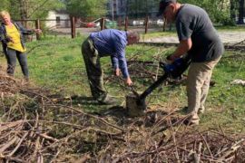 � ������� ������ ������� ������