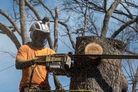 � ������� ��������� ������ �������� ����� ������ ������������ ����������