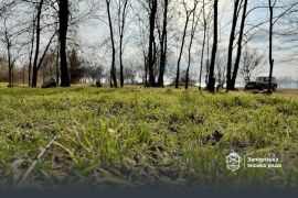 ������ �� ����������� �������