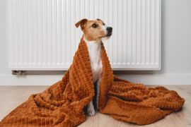 ������� ���� ��������� ������������� ������ � �������: �� ���� ����������