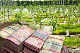 ����� 3 ������� �� ����������: � ������� �������� �������� ����� 700 ����� � �����