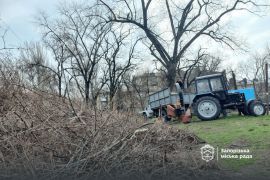 �������� ���� ���� ������